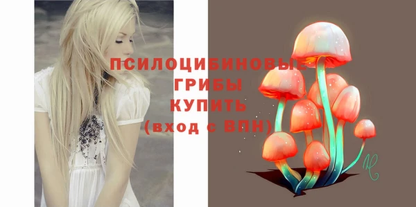 амф Белоозёрский